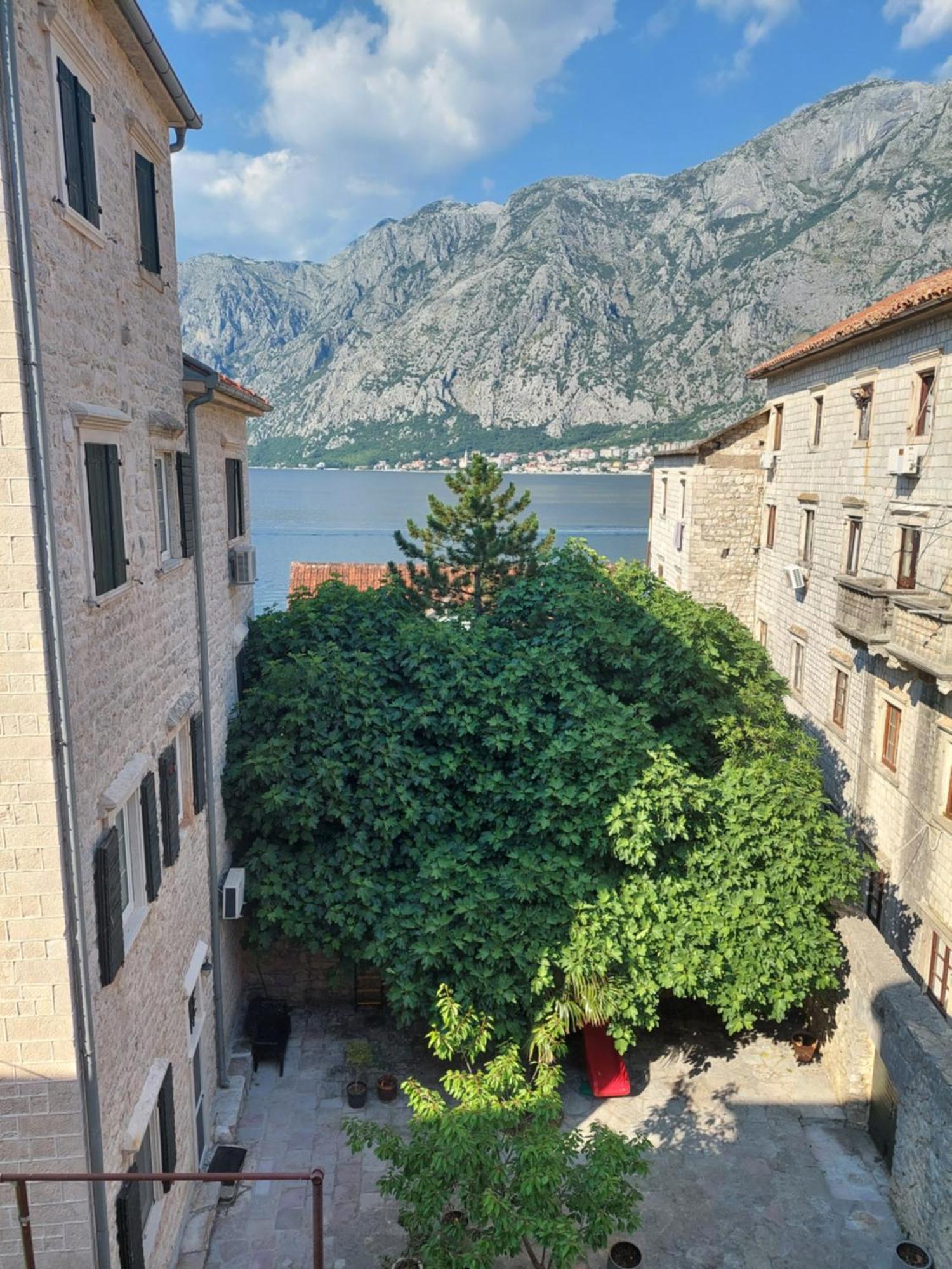 Apartment Jelena *