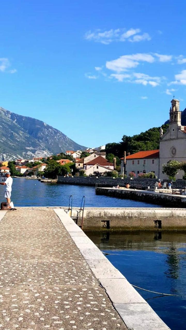 Jelena Kotor